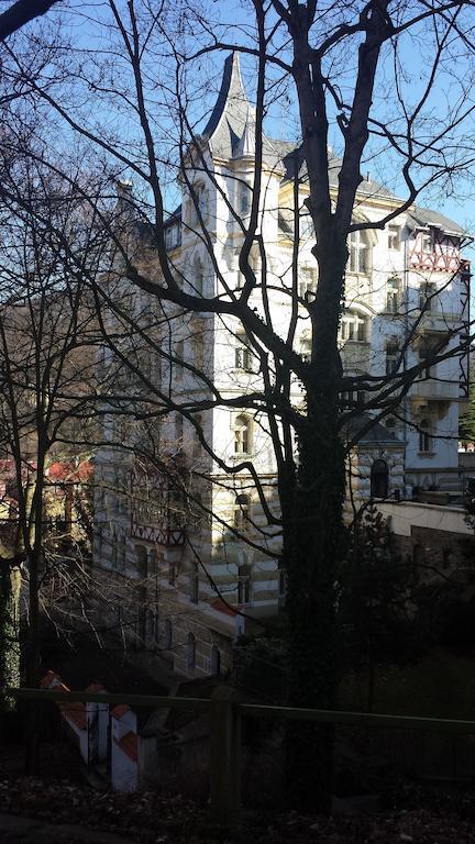 Villa Sofia Apartments Karlovy Vary Luaran gambar